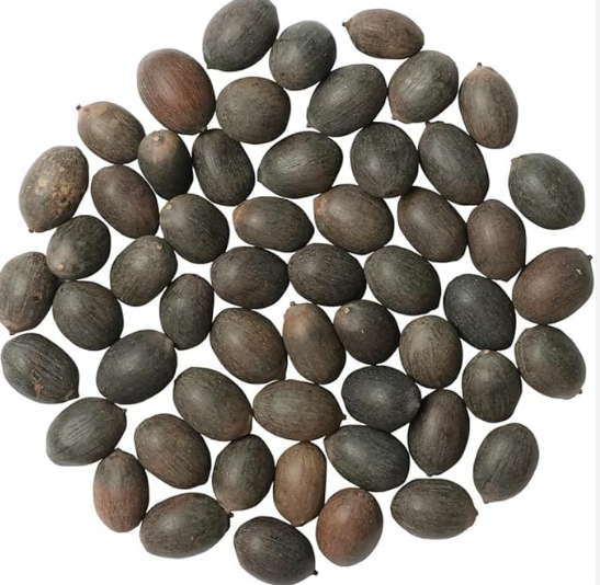 Divine Lotus Flower Seeds – Indoor Water Garden Set (100seeds)