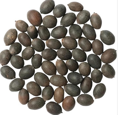 Divine Lotus Flower Seeds – Indoor Water Garden Set (100seeds)